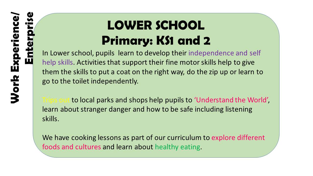 Work Experience Primary